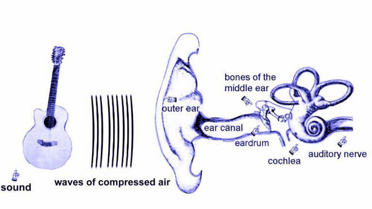 'how we hear' - artwork showing how the ear picks up sound waves - hearing directional noise - physics illustrations feb 2001