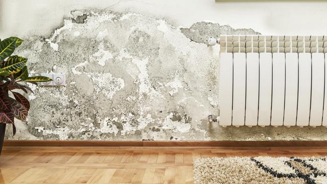 Some mould outbreaks are easy to spot (like this one), others aren’t so obvious.