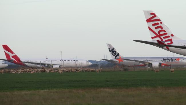 Qantas, Jetstar and Virgin aircraft mothballed at Avalon Airport, Geelong during the COVID-19 shutdown. Picture: Alan Barber