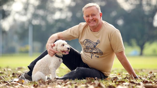 Mr Albanese recommends taking your pet for a long walk in the afternoon before the celebrations. Picture: Sam Ruttyn