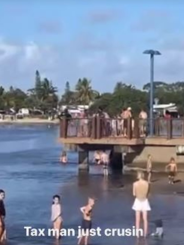 Families flee as a fin is spotted at Cotton Tree beach. Picture: S**t Maroochydore/Instagram