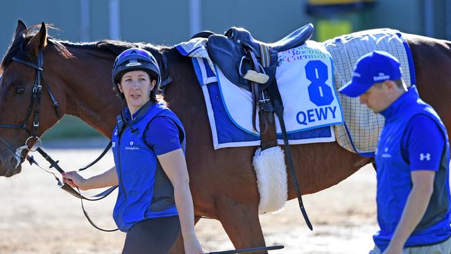 Charlie Appleby trained horse Qewy is seen during trackwork at Werribee on Tuesday morning ahead of the Caulfield Cup on Saturday, Tuesday, October 17, 2017. (AAP Image/Joe Castro) NO ARCHIVING, EDITORIAL USE ONLY