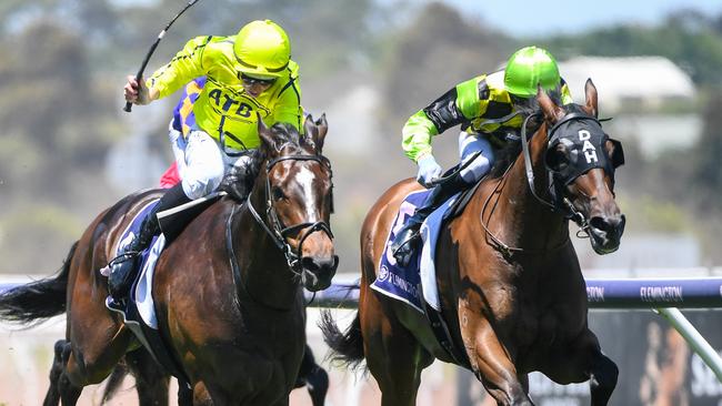 Racing Victoria’s whip reform a hot button topic between participants.