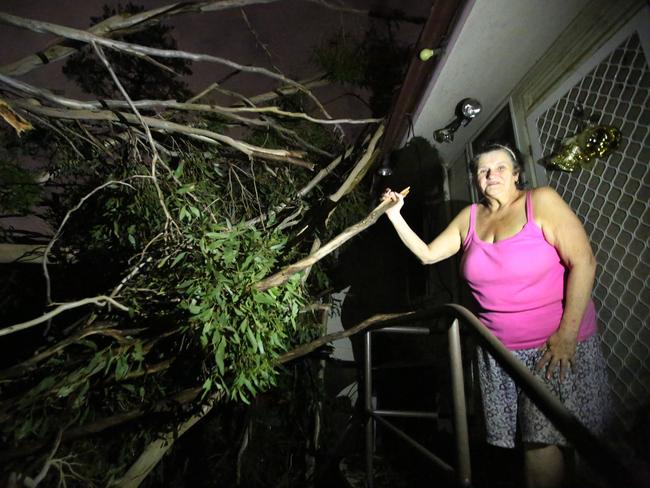 A tree crashed into Susan Buxton’s Ellengowan Crescent house in Whalan. Picture: Bob Barker