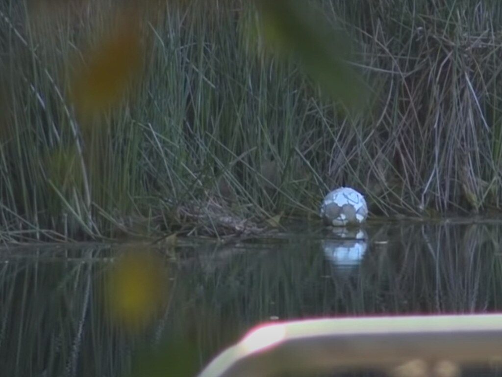 Tributes are flowing for Fahim Wakili, 38, who died after going into a Mount Annan lake to save his son's soccer ball. Picture: 7 News