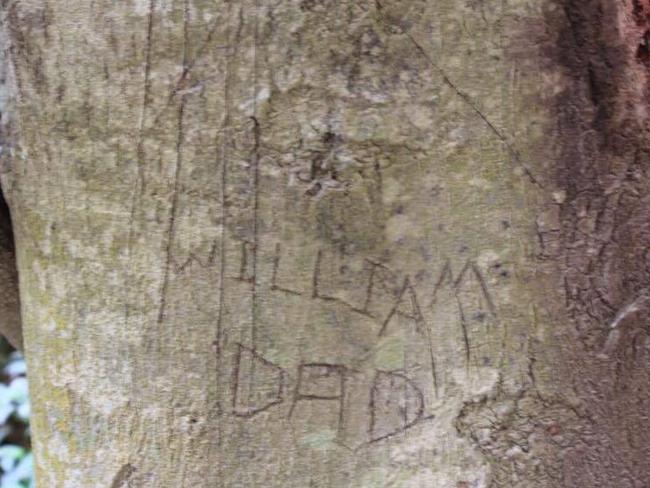 Tree in Kendall etched with the words ‘William Dad’ near where the little boy disappeared from.