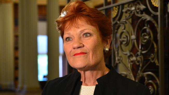 One Nation’s Pauline Hanson speaks with media at the opening of Victorian parliament. Picture: NCA NewsWire / Nicki Connolly