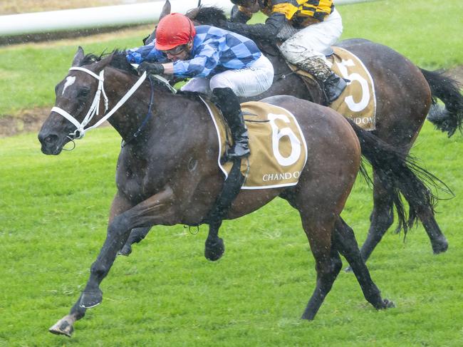 James McDonald and Funstar combine to win the Chandon Phar Lap.