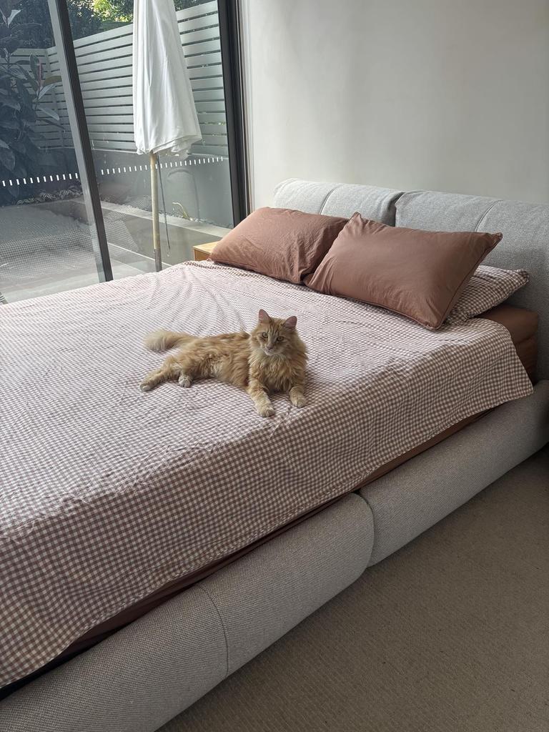 Even my cat Luna agrees the Eva Delve Bed Frame is exceptionally comfortable and supportive. Picture: news.com.au checkout/Melody Teh