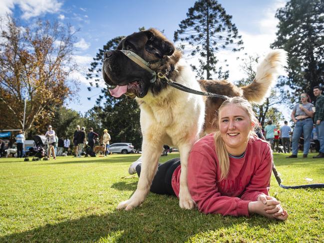 Lilly Corkill with Nelson her St Bernard before Too