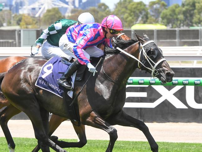 Thedoctoroflove ridden by Daniel Moor wins the National Jockeys Trust Trophy at Flemington Racecourse on January 11, 2025 in Flemington, Australia. (Photo by Brett Holburt/Racing Photos via Getty Images)