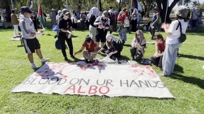 Palestinian protestors take on Parliament House