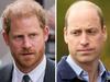 ‘Awkward’: Harry, William plan underway