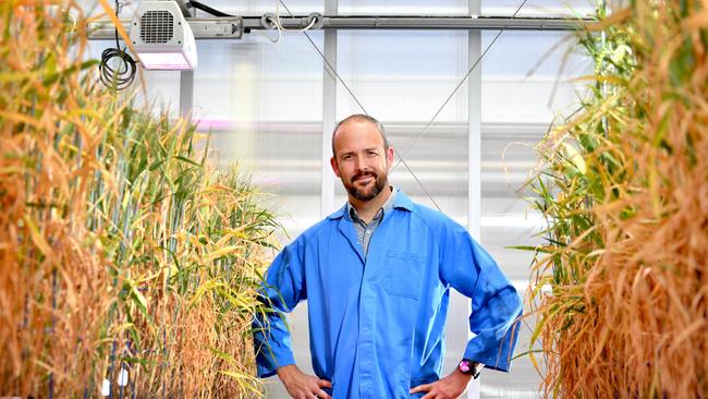 University of Adelaide Waite Research Institute deputy director, Associate Professor Matthew Tucker. Picture: AAP / Sam Wundke