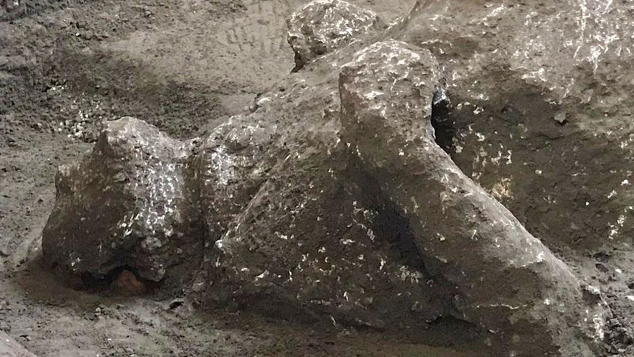 One is believed to be a slave and the other his owner. Picture: AFP/Pompeii Archaeological Park/Luigi Spina