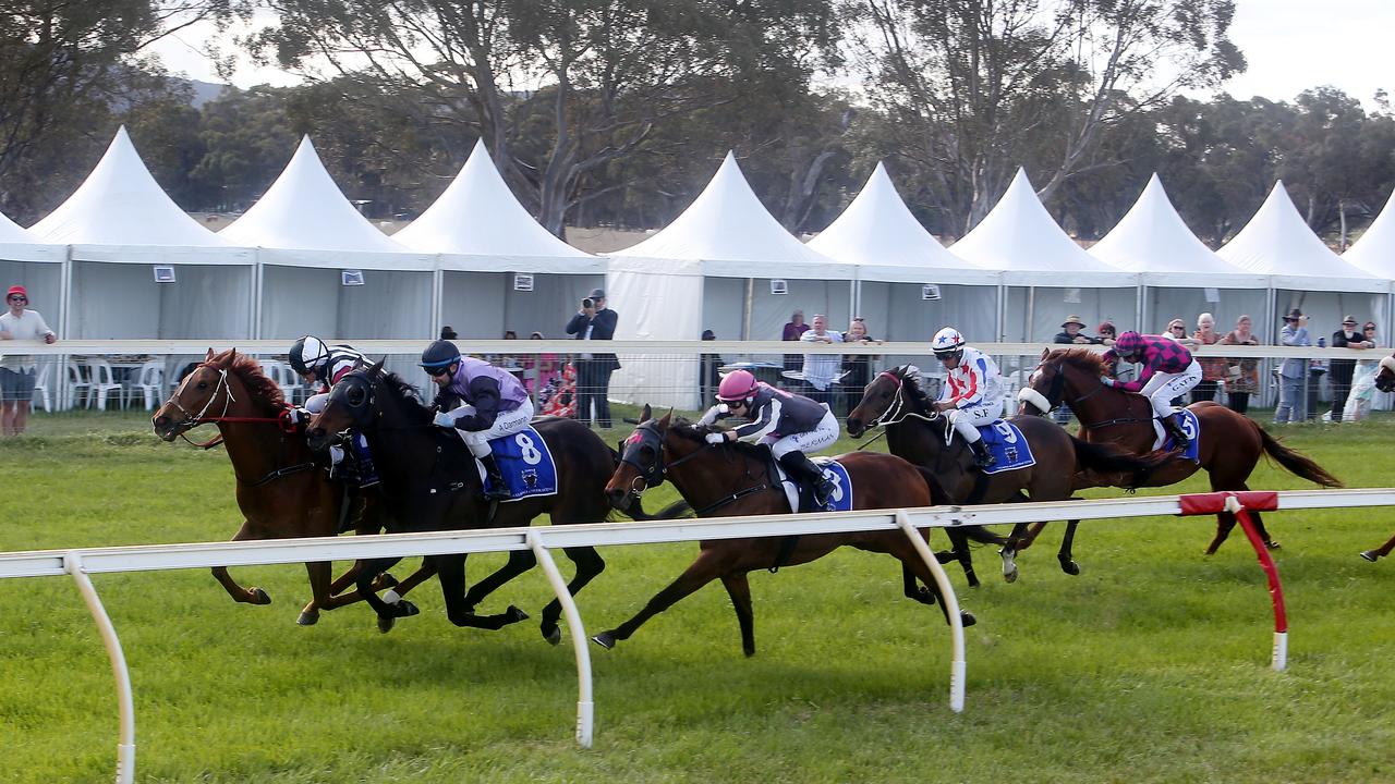 Country cup promises punters exciting day on the field