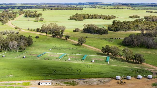 A consortium of Western Australian families have listed the historic Blackwattle farm, seven vineyards and two wineries for sale.