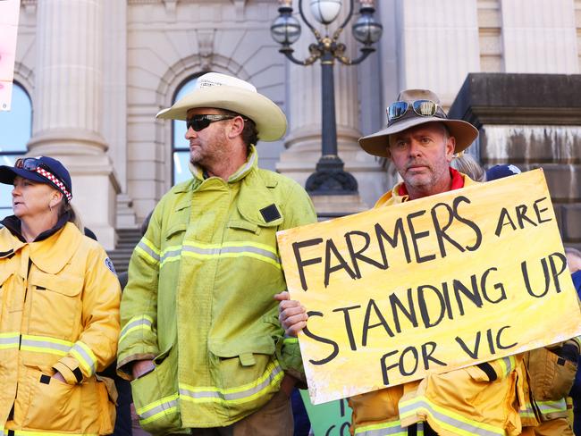 Protesters on the steps of parliament on Tuesday. Picture: David Caird
