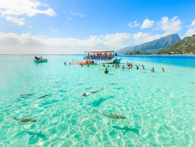 Papeete , French Polynesia - MAY 11, 2017: The Tourists stay on speedboat after swimming and feeding Sharks and Stingrays in beautiful sea at Moorea Island, Tahiti Papeete , French Polynesia.