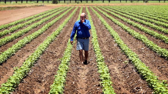 Irrigators in Queensland will receive a price freeze and potential state government subsidies as part of a new relief package for the industry. Picture: farmer David Moon of Moonrocks, St George.