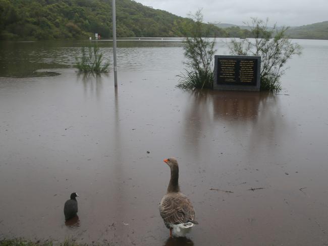 The east coast low continues to batter NSW Manly dam above North Manly is causing local flooding. Pic John Grainger
