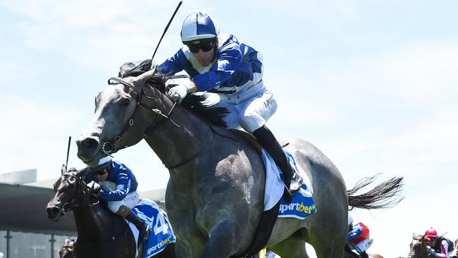 Impressive debut winner My Gladiola will attempt to remain unbeaten in Saturday's Group 2 Blue Diamond Prelude for fillies at Caulfield. Picture: Racing Photos via Getty Images.