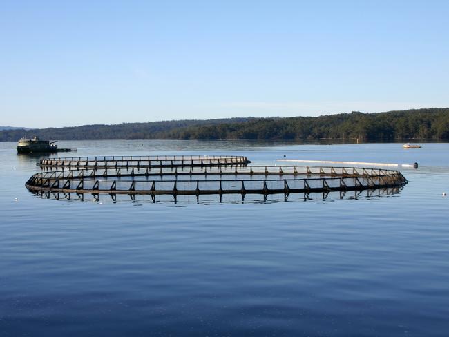 A fish farm pictured in Macquarie Harbour, Strahan, Tasmania. Picture: Supplied