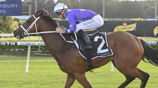 Demiana can start her spring campaign on a winning note at Warwick Farm on Wednesday. Picture: Bradley Photos