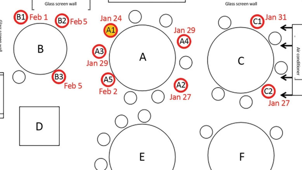 Diagram shows how a coronavirus cluster arose at a Guangzhou restaurant with patient A1 (in yellow) infected 9 others at one lunch setting.