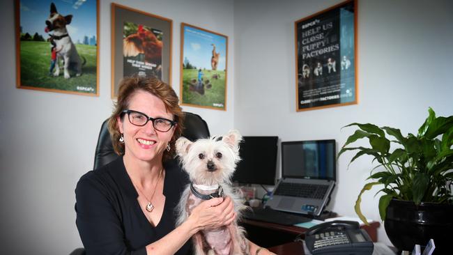 Greater Dandenong ranks in the top 20 areas for animal cruelty | Herald Sun