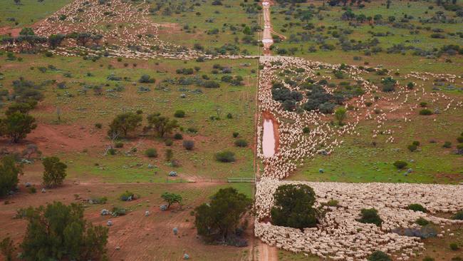 Rawlinna Station, located 1000km inland from Perth, Western Australia.