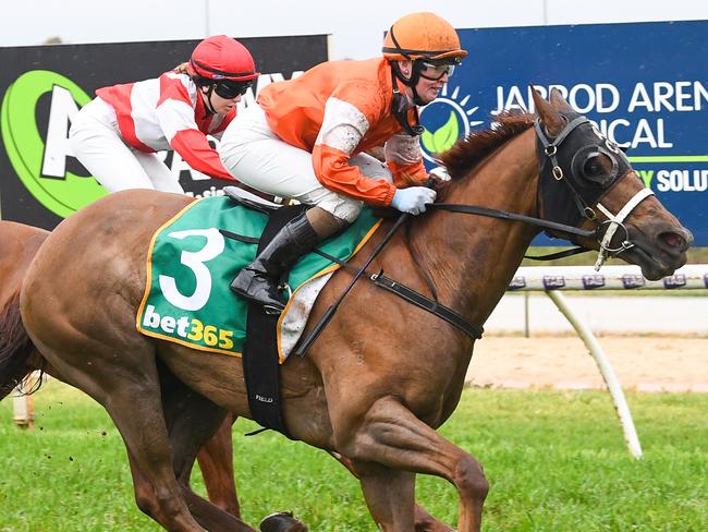 Miss Cheviots ridden by Sarah Field wins the McLardy McShane Insurance Swan Hill Handicap at Swan Hill Racecourse on October 03, 2023 in Swan Hill, Australia. (Photo by Pat Scala/Racing Photos)