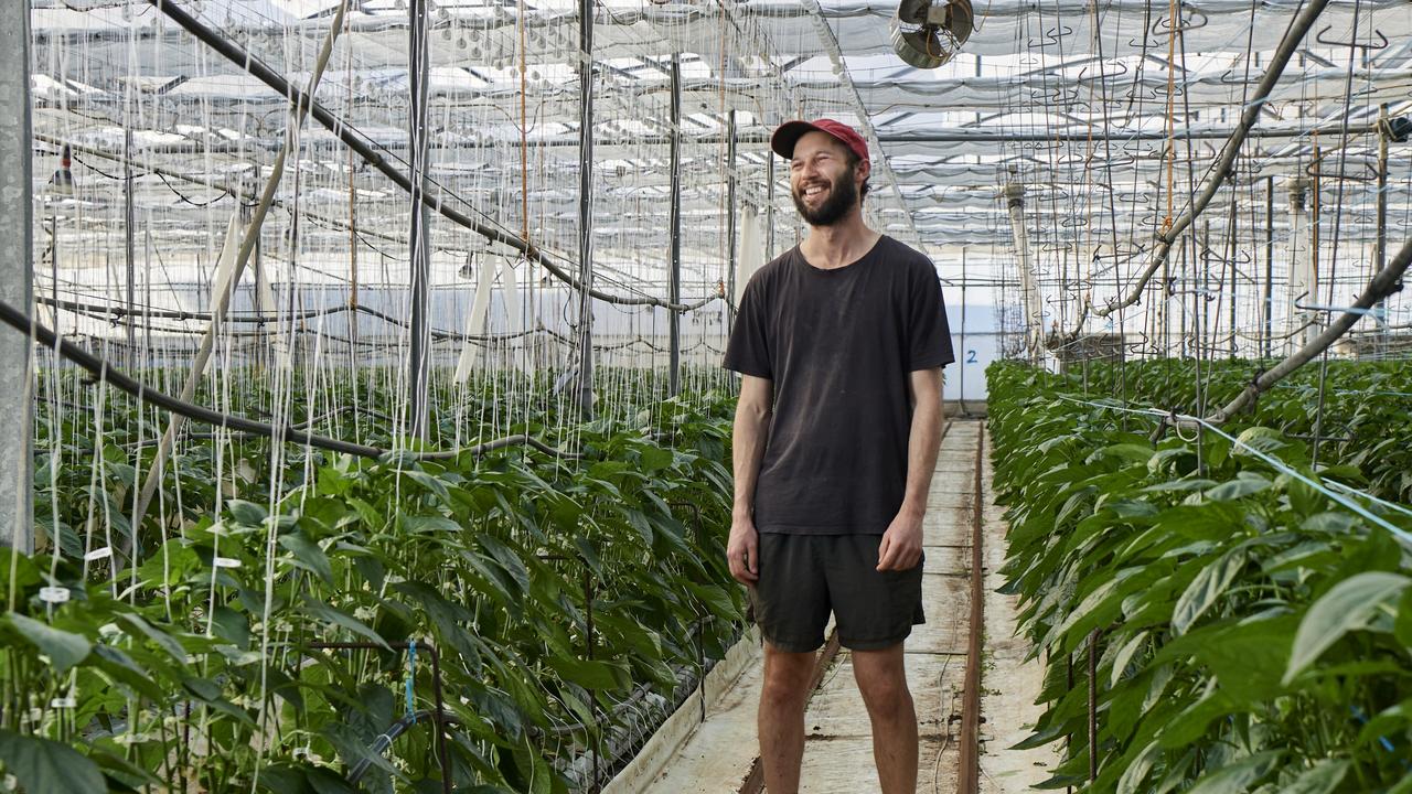 Zeke Zalsman of Zaldeesh Farms at Oldbury in Western Australia.