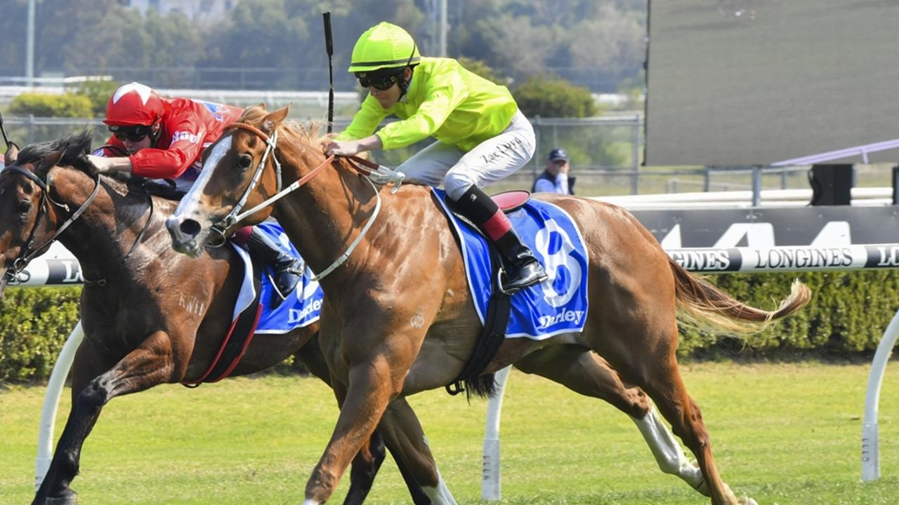 Flashy filly Makarena looks a good value chance in the Tapp-Craig. Picture: Bradley Photos