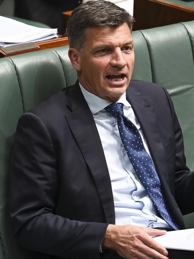 Opposition Treasury spokesman Angus Taylor. Picture: NewsWire / Martin Ollman