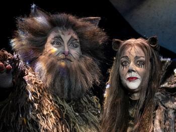 Cats musical sydney