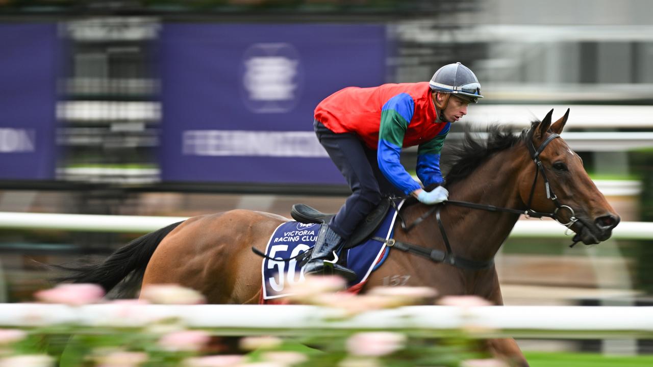 Sharp 'N' Smart during a trackwork session at Flemington Racecourse. (Photo by Vince Caligiuri/Getty Images)