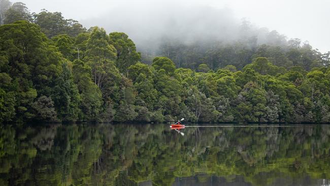 The Pieman River is set among rainforest at the southern end of the takayna / Tarkine wilderness area. Photo – Tourism Tasmania