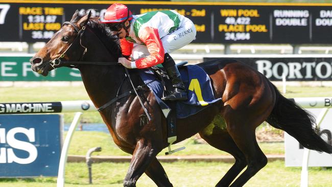 Rebel Dane has a good fresh record and won’t have to contend with Capitalist in the Missile. Picture: Simon Bullard