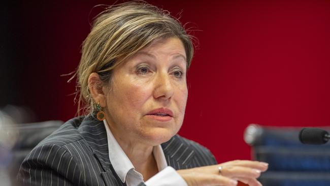 NSW Industrial Relations Minister Sophie Cotsis said there was ‘no doubt mental health is a societal issue’. Picture: NewsWire / Jeremy Piper