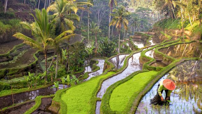 Bali has introduced a new tourism levy to help it meet the crush of tourists that visit the island each year. Picture: iStock