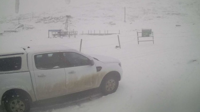 The Ben Lemond summit covered in snow on Tuesday.