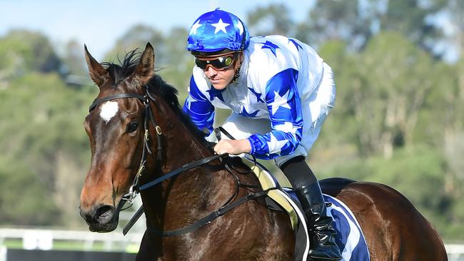 Tony Gollan’s Golden Boom canters to victory on debut under jockey Ryan Maloney. Picture: Grant Peters/Trackside Photography