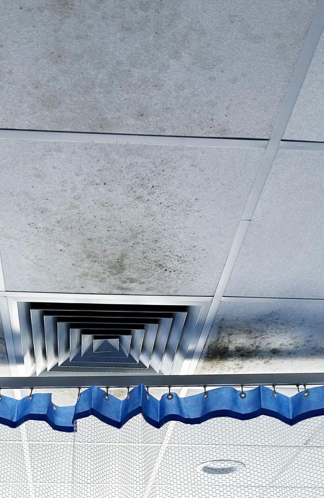 The mould spotted on the ceiling of a ward in the Ned Hanlon Building. Picture Supplied