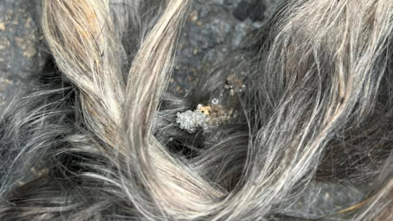 What is muffler hair Woman finds clump of hair in car exhaust