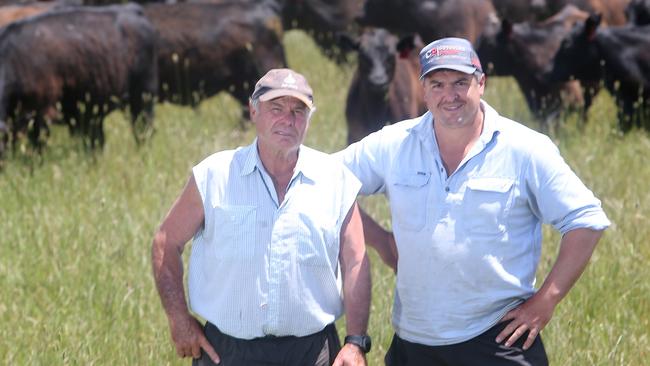 Rod Manning & his son Roddo on their Angus cattle farm in Mansfield. Picture: Yuri Kouzmin