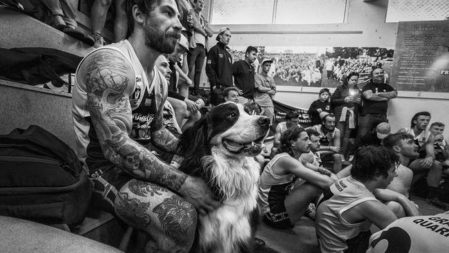 A dog joins the half-time team talk.