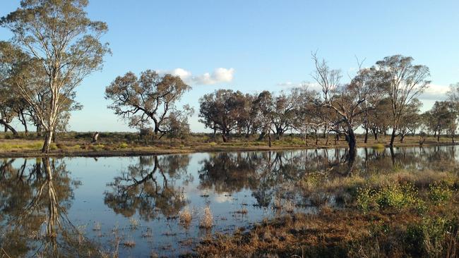 Whittakers Lagoon, west of Moree, in the Gwydir Valley.