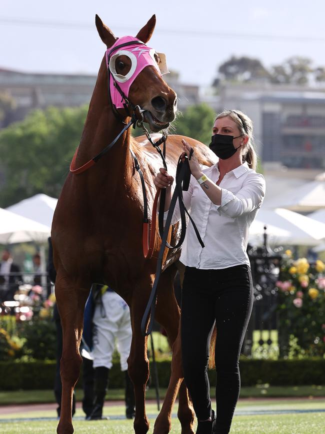 Bless Her ran 13th in the Furphy Sprint. Picture: Michael Klein.