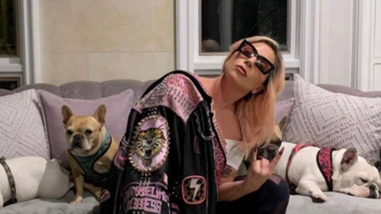 Lady Gaga offers $630,000 reward for her two stolen dogs